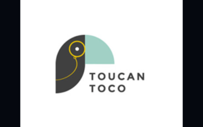 Toucan Toco | Solutions Business Intelligence FrenchTech