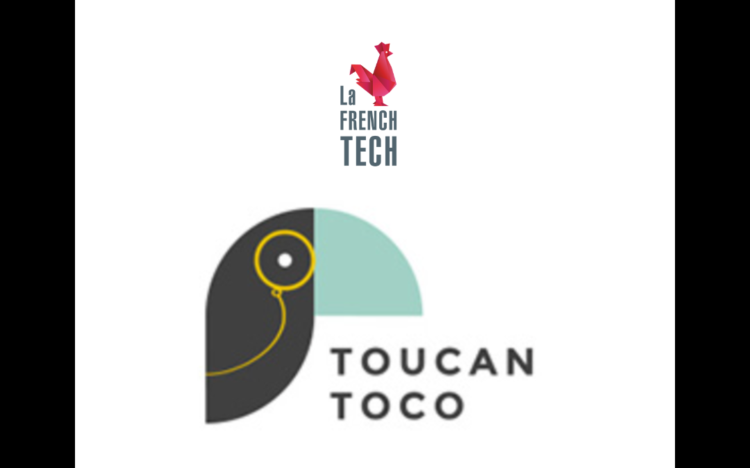 Toucan Toco
